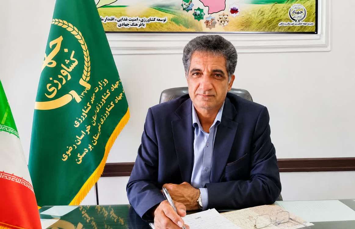 مسروری تخم مرغ 